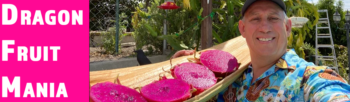 Shulman Dragon Fruit Orchard Shulman Dragon Fruit Orchard