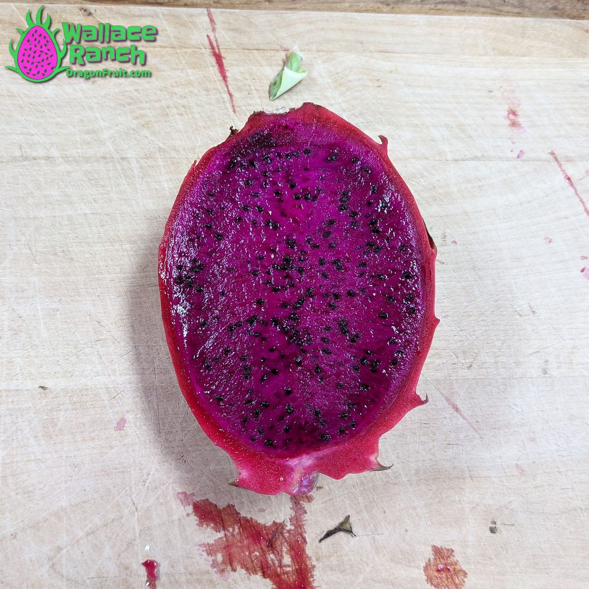 The Wallace Ranch Graft Hybrid Cutting