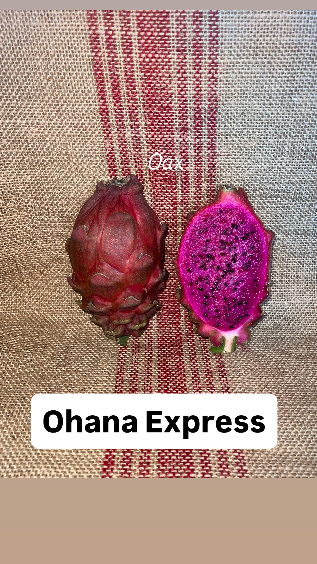 Ohana Express (Graft)