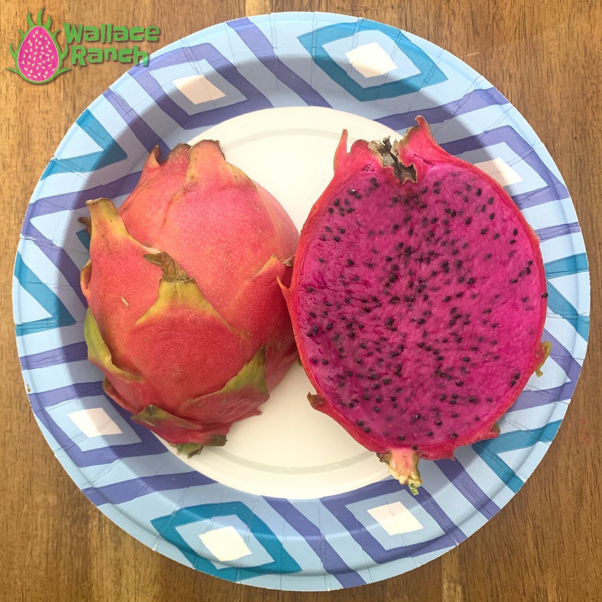 American Beauty Dragon Fruit Pitaya Pitahaya