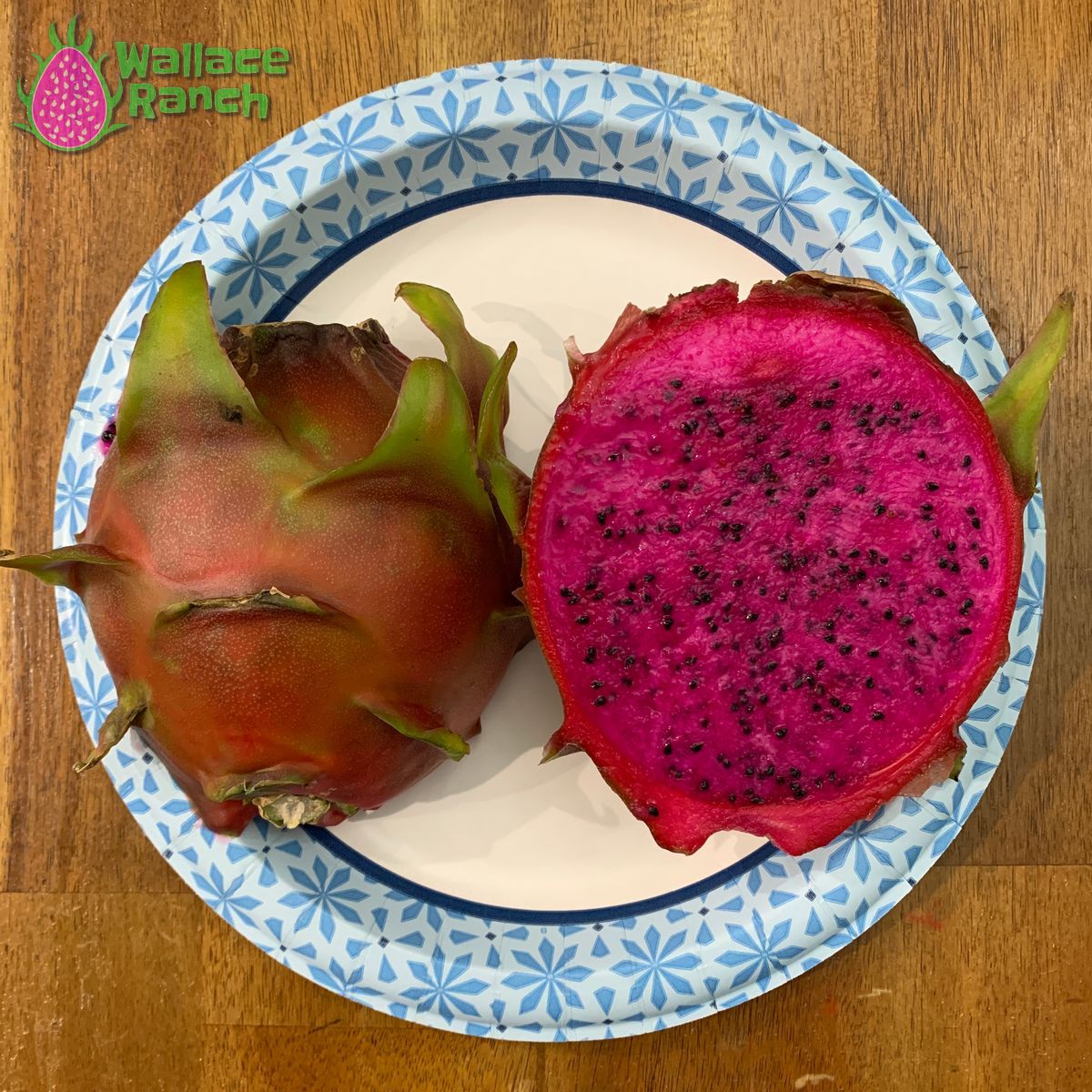 American Beauty Dragon Fruit Pitaya Pitahaya