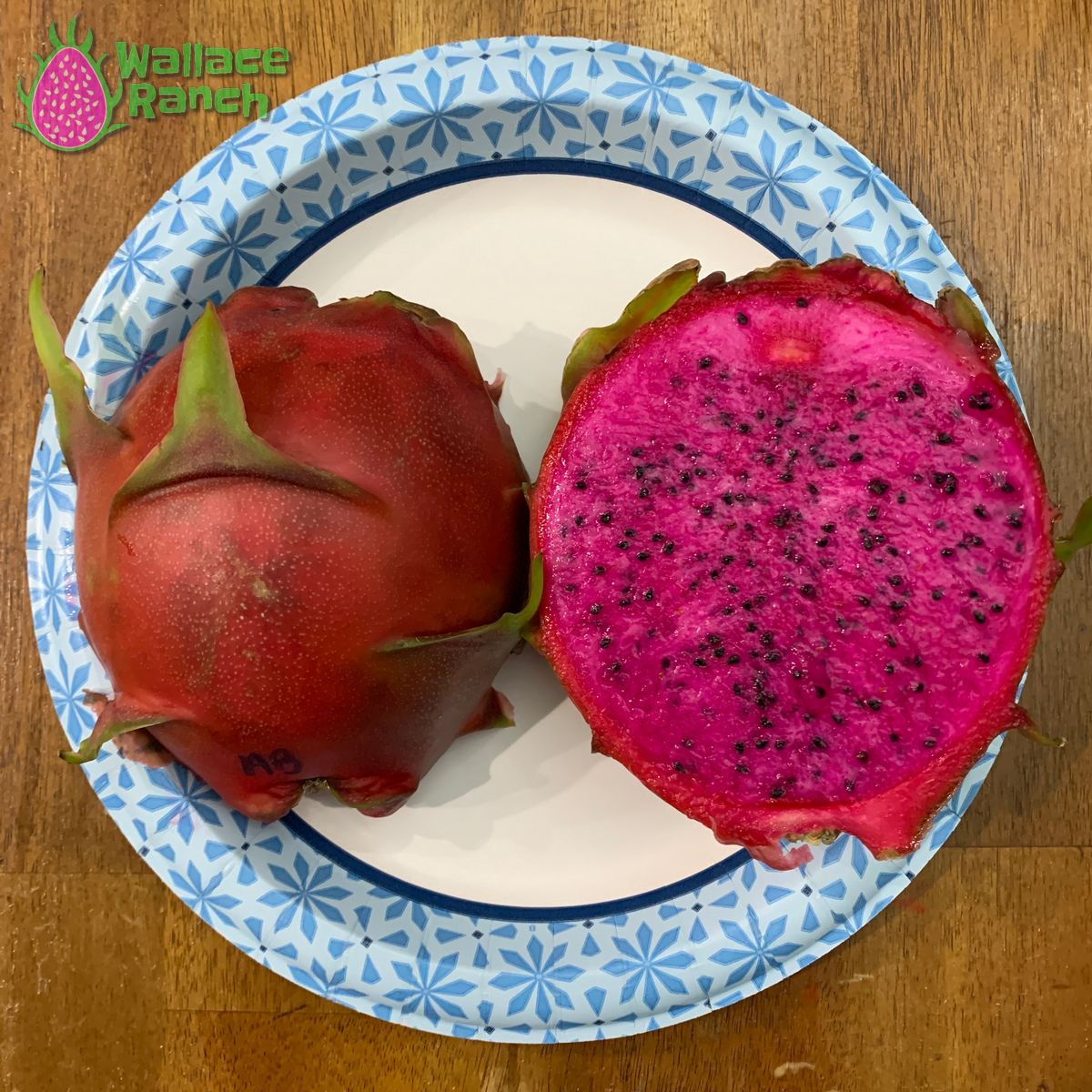 American Beauty Dragon Fruit Pitaya Pitahaya