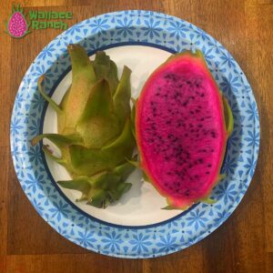 Ax Dragon Fruit Pitaya Pitahaya