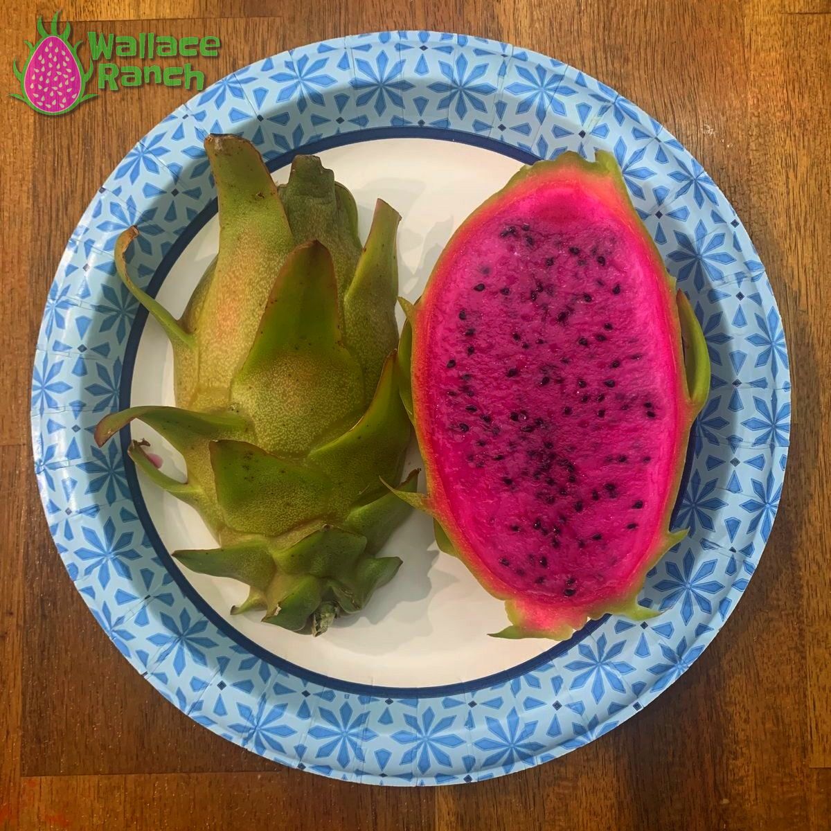 Ax Dragon Fruit Pitaya Pitahaya