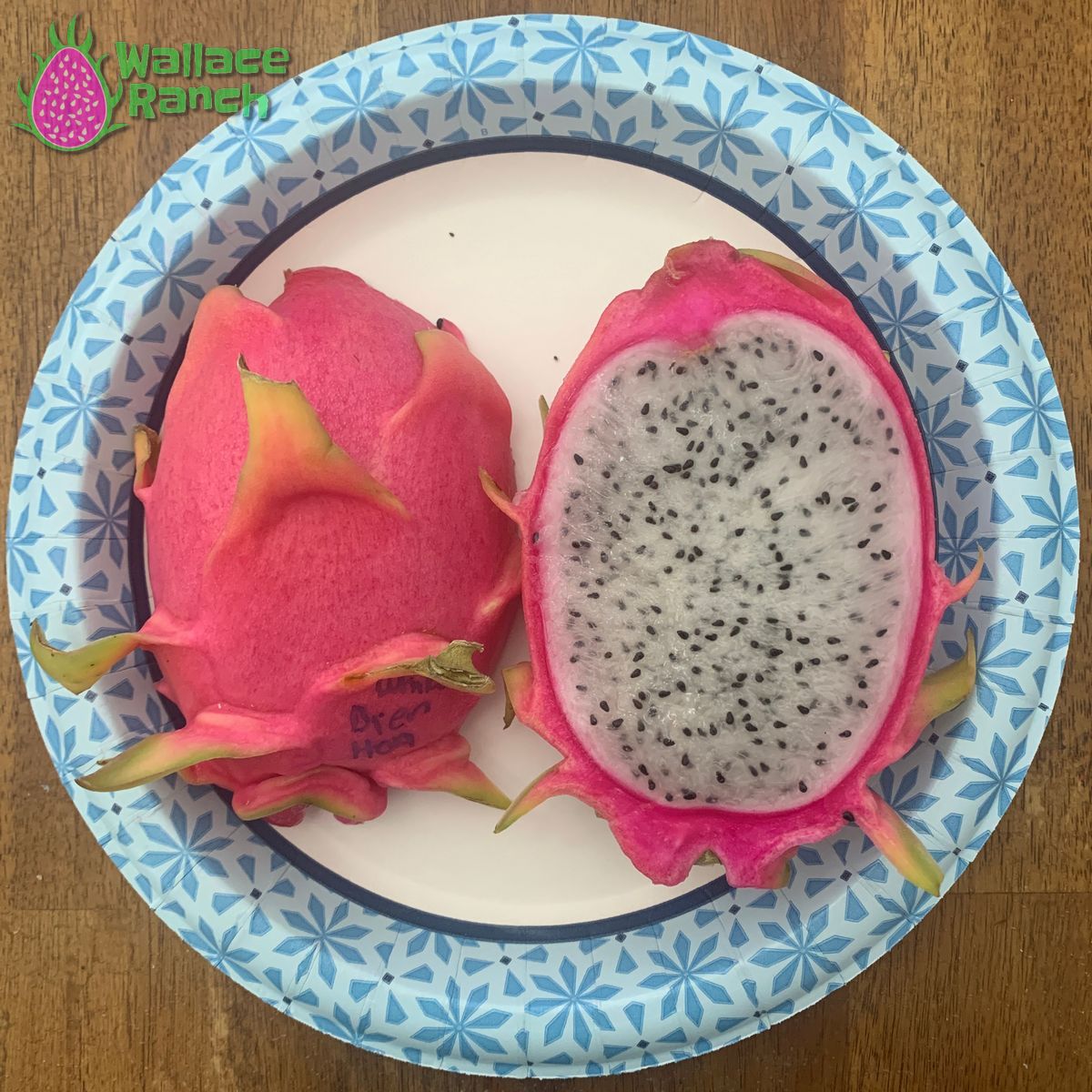 Bien Hoa Dragon Fruit Pitaya Pitahaya