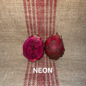 Neon