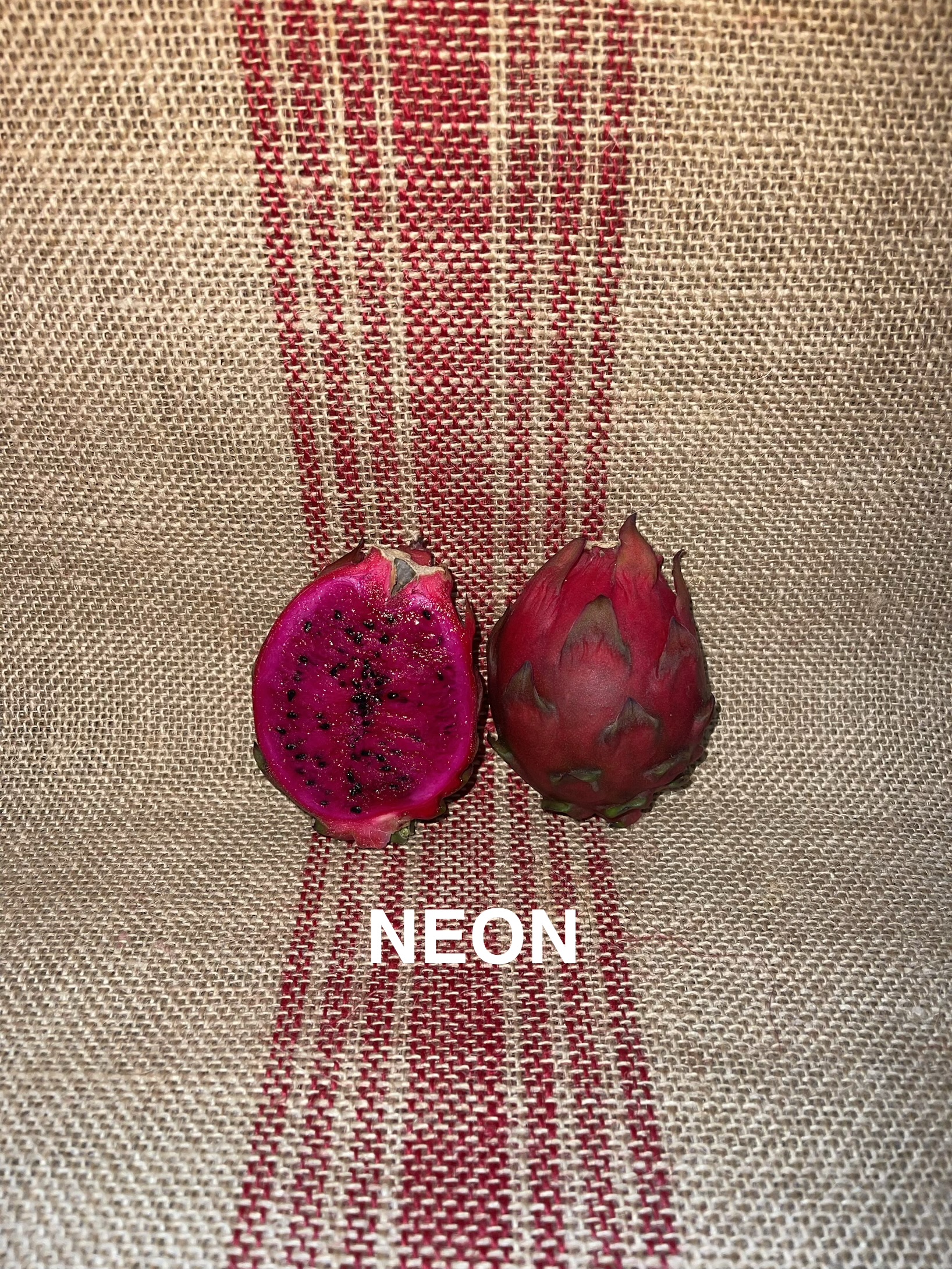 Neon