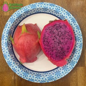 Physical Graffiti Dragon Fruit Pitaya Pitahaya