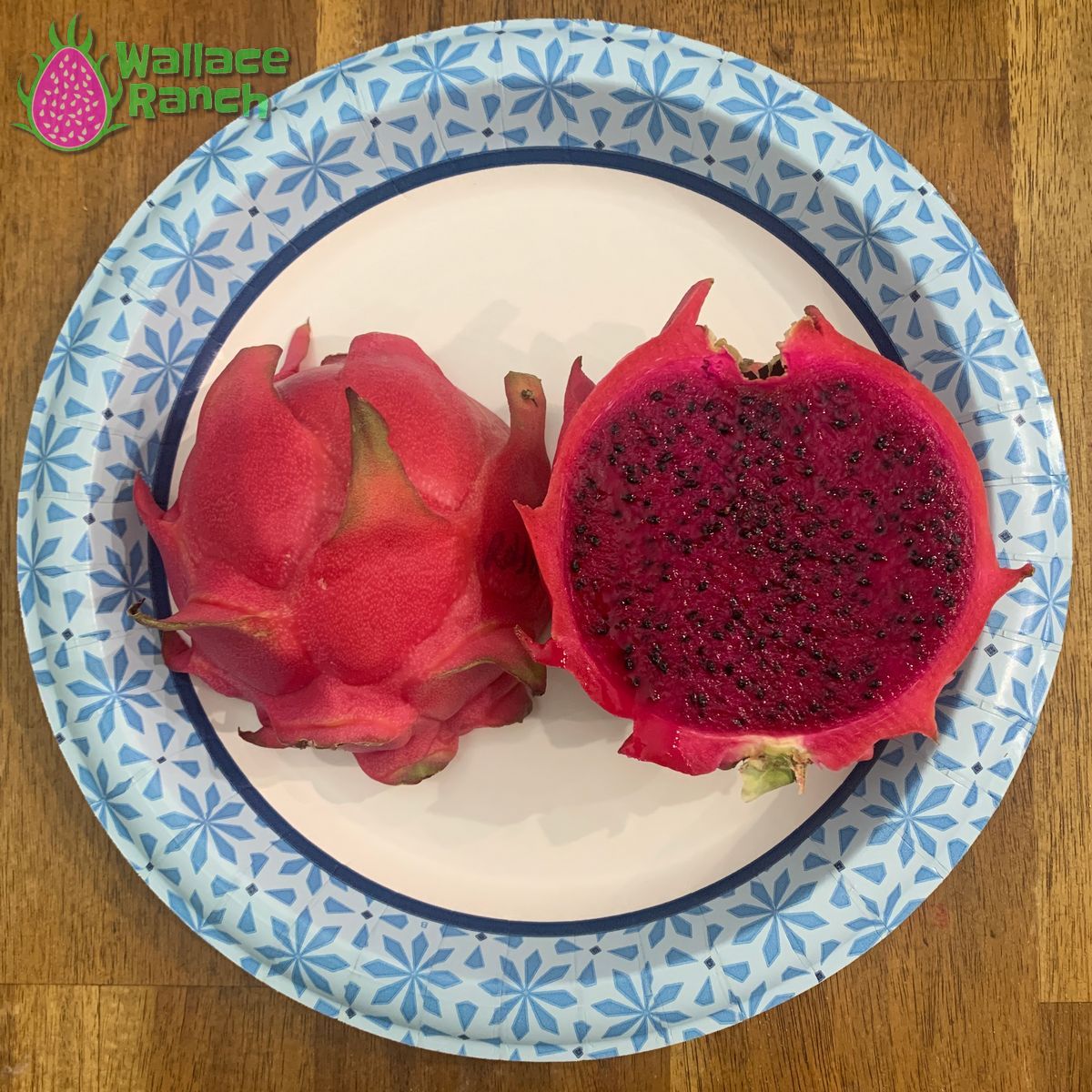 Robles Red Dragon Fruit Pitaya Pitahaya