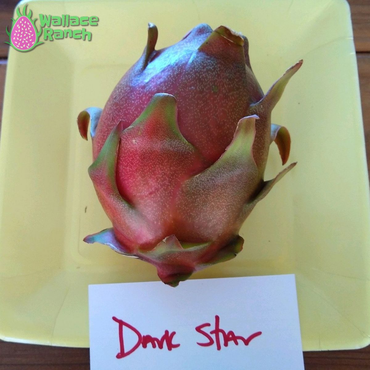 Dark Star Dragon Fruit Pitaya Pitahaya