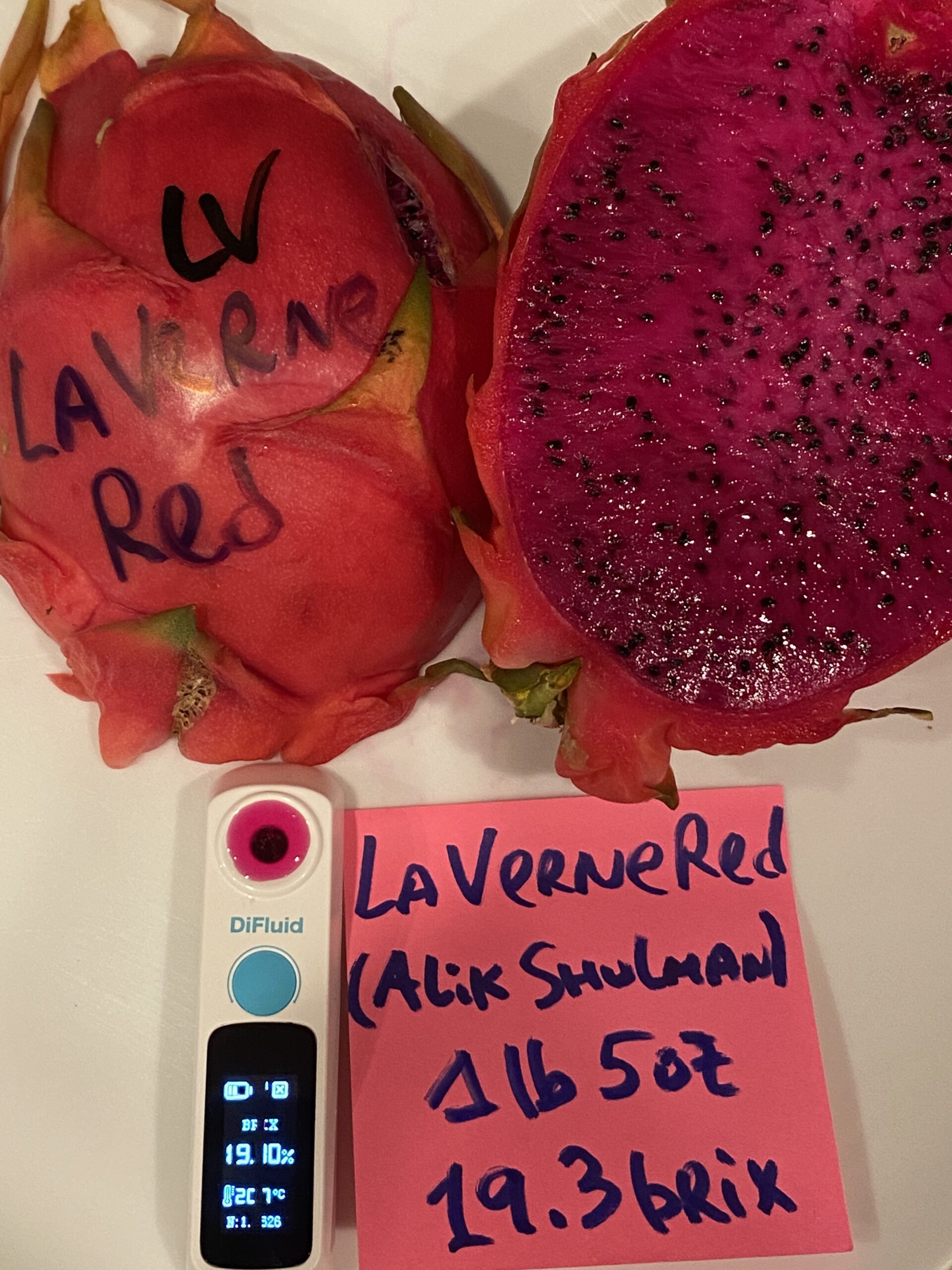 La Verne Red - Image 2