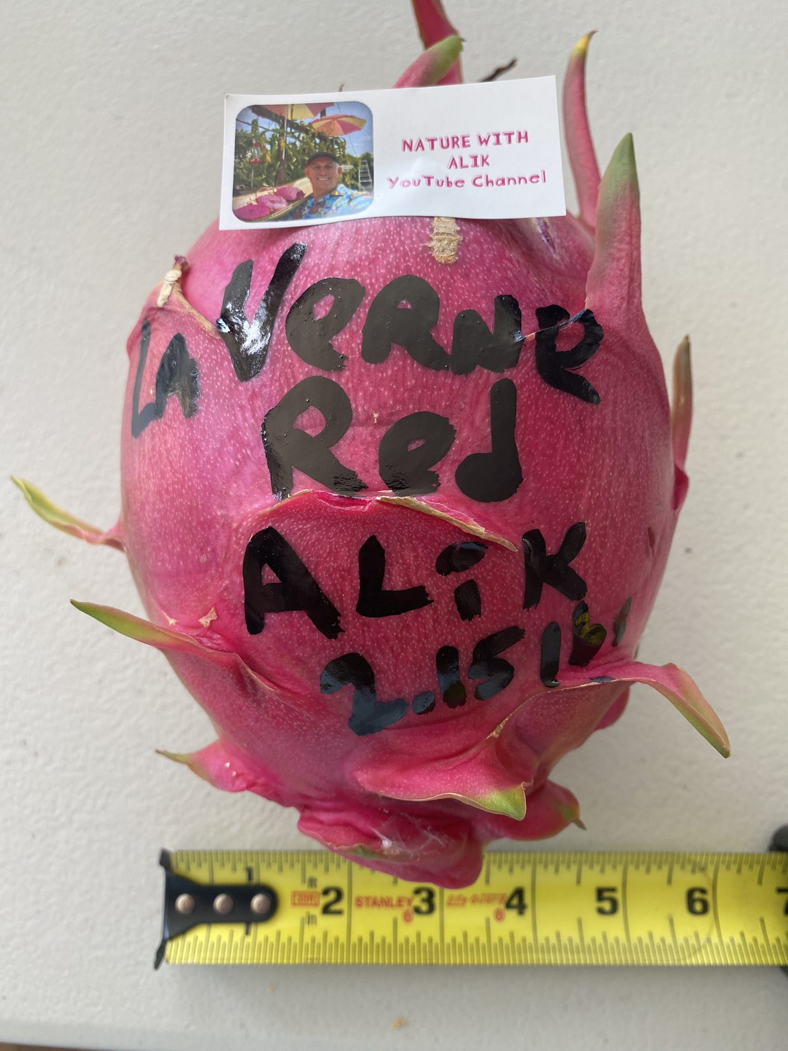 La Verne Red - Image 11