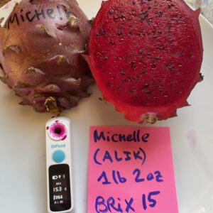 Michelle