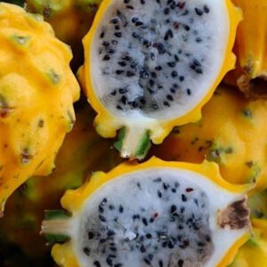 Ecuador Yellow Palora