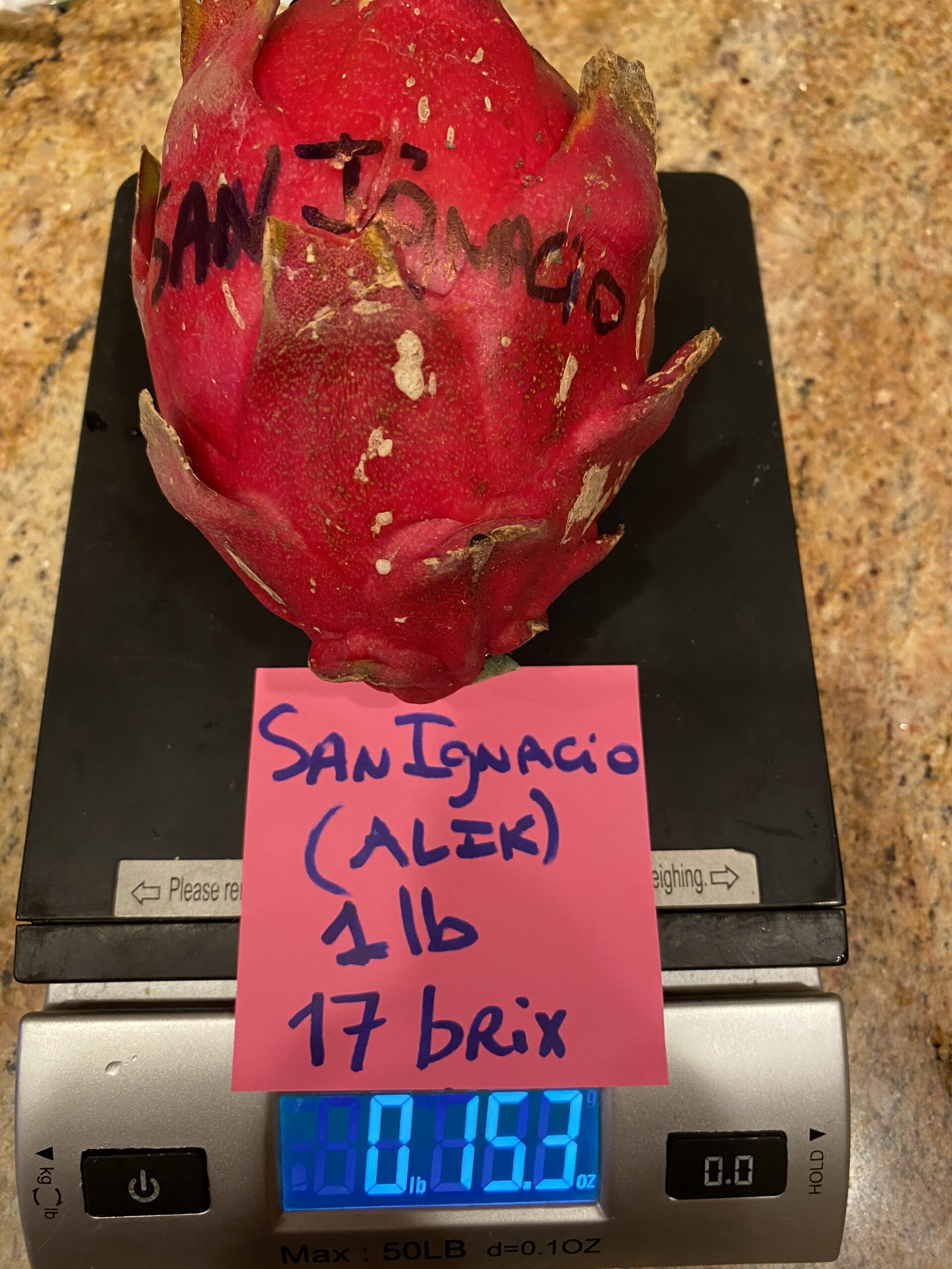 San Ignacio - Image 3
