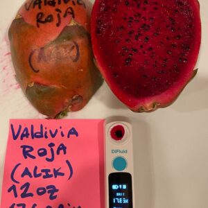 Valdivia Roja — dragon fruit cutting from Shulman Dragon Fruit Orchard