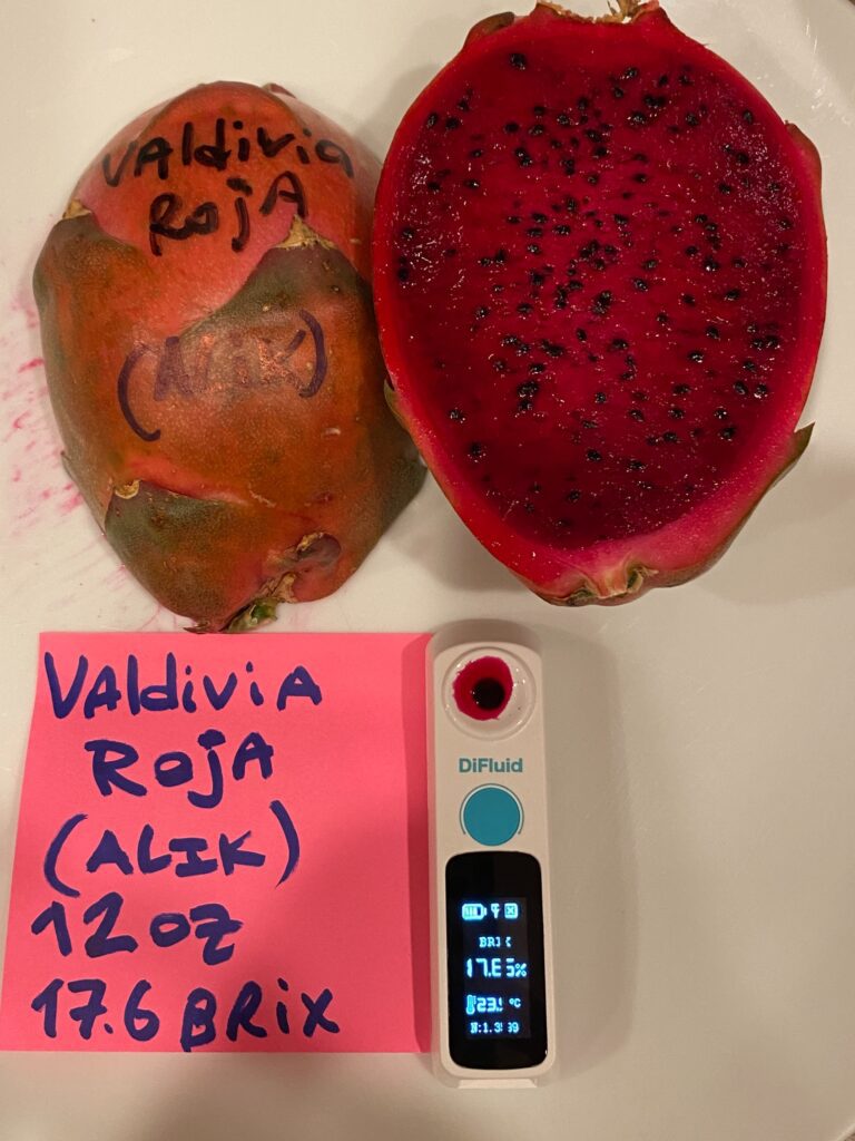 Valdivia Roja — dragon fruit cutting from Shulman Dragon Fruit Orchard