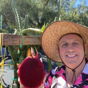 Enigma with Cherry Flavor — dragon fruit cutting from Shulman Dragon Fruit Orchard