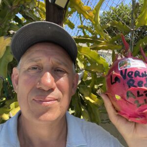 La Verne Red — dragon fruit cutting from Shulman Dragon Fruit Orchard