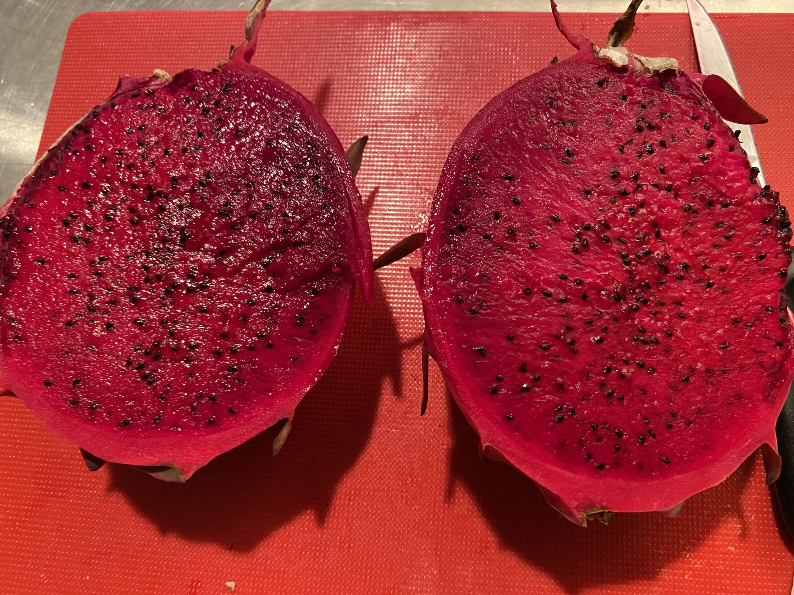 Lake Atitlan — dragon fruit cutting from Shulman Dragon Fruit Orchard, photo 7