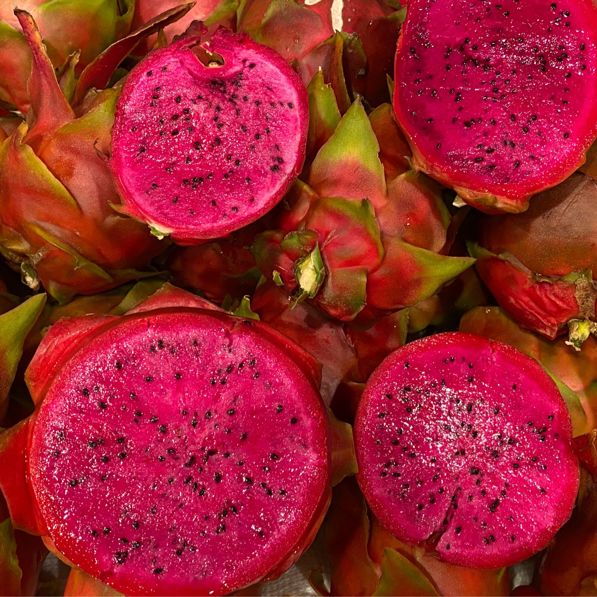 Dragon Fruit mixed varieties