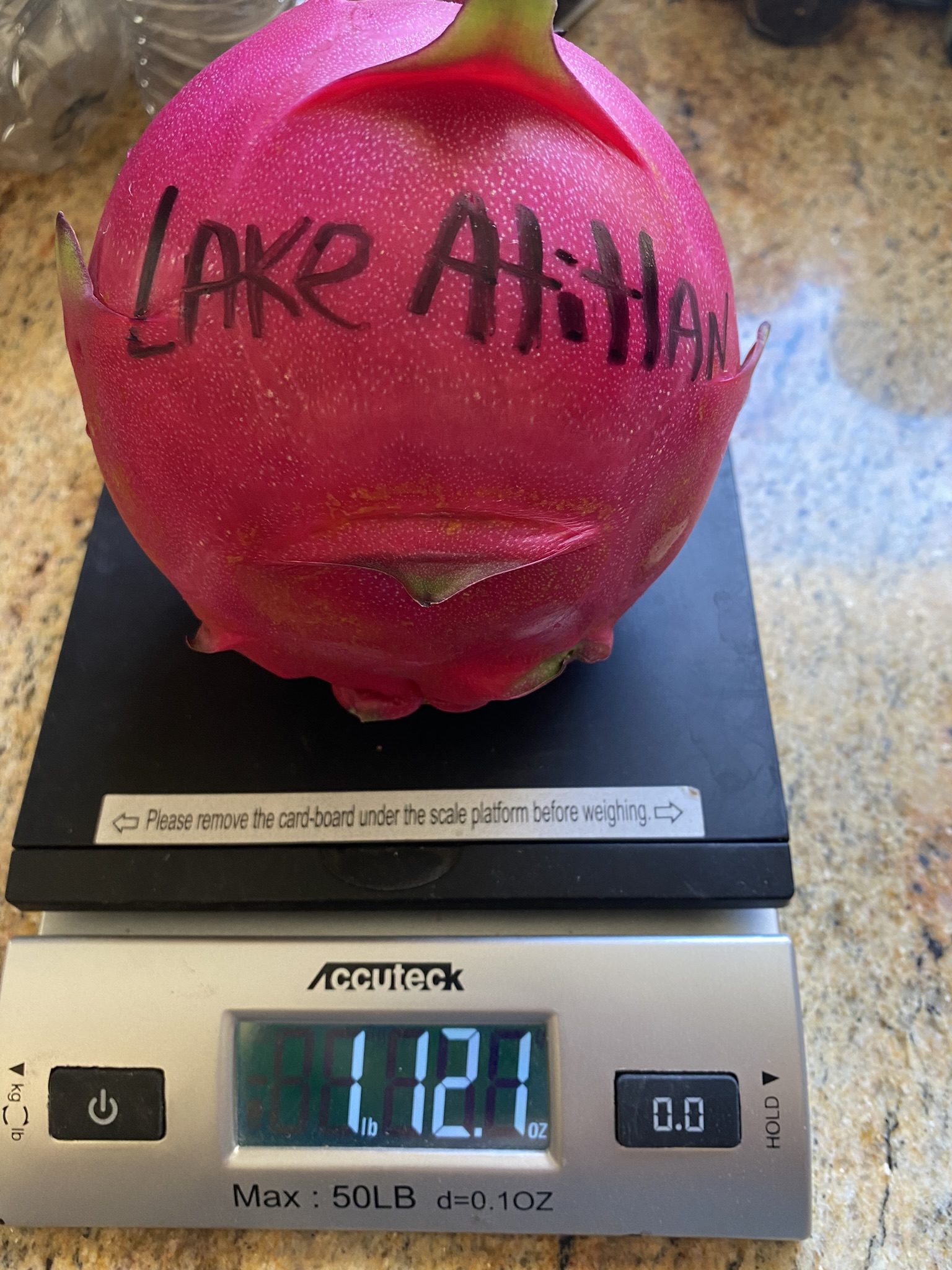 Lake Atitlan — dragon fruit cutting from Shulman Dragon Fruit Orchard, photo 12