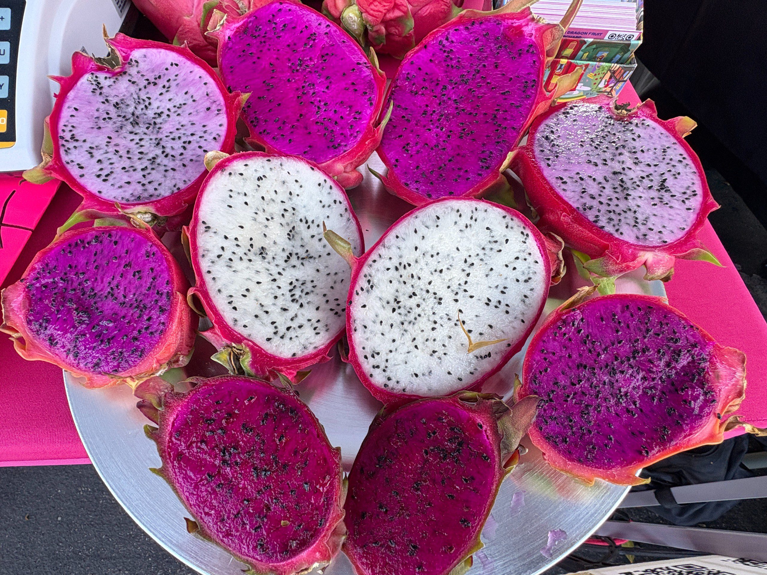 Dragon Fruit mixed varieties - Image 2