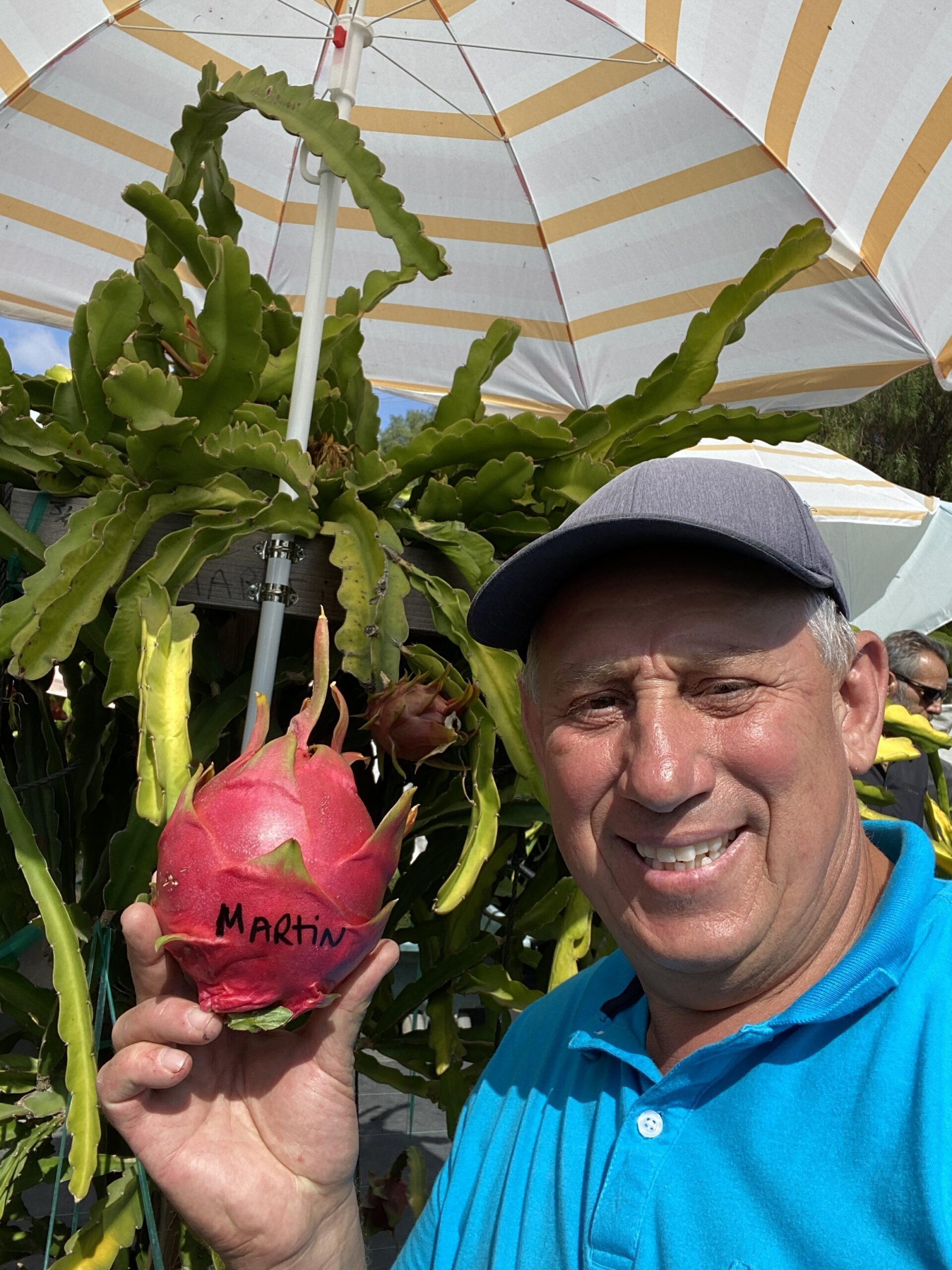 Martin — dragon fruit cutting from Shulman Dragon Fruit Orchard, photo 13