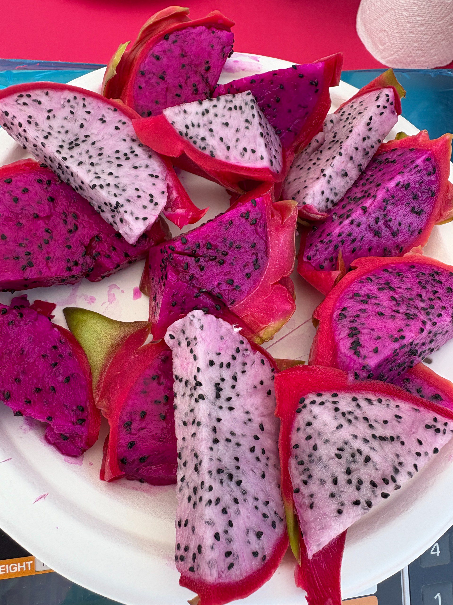 Dragon Fruit mixed varieties - Image 4
