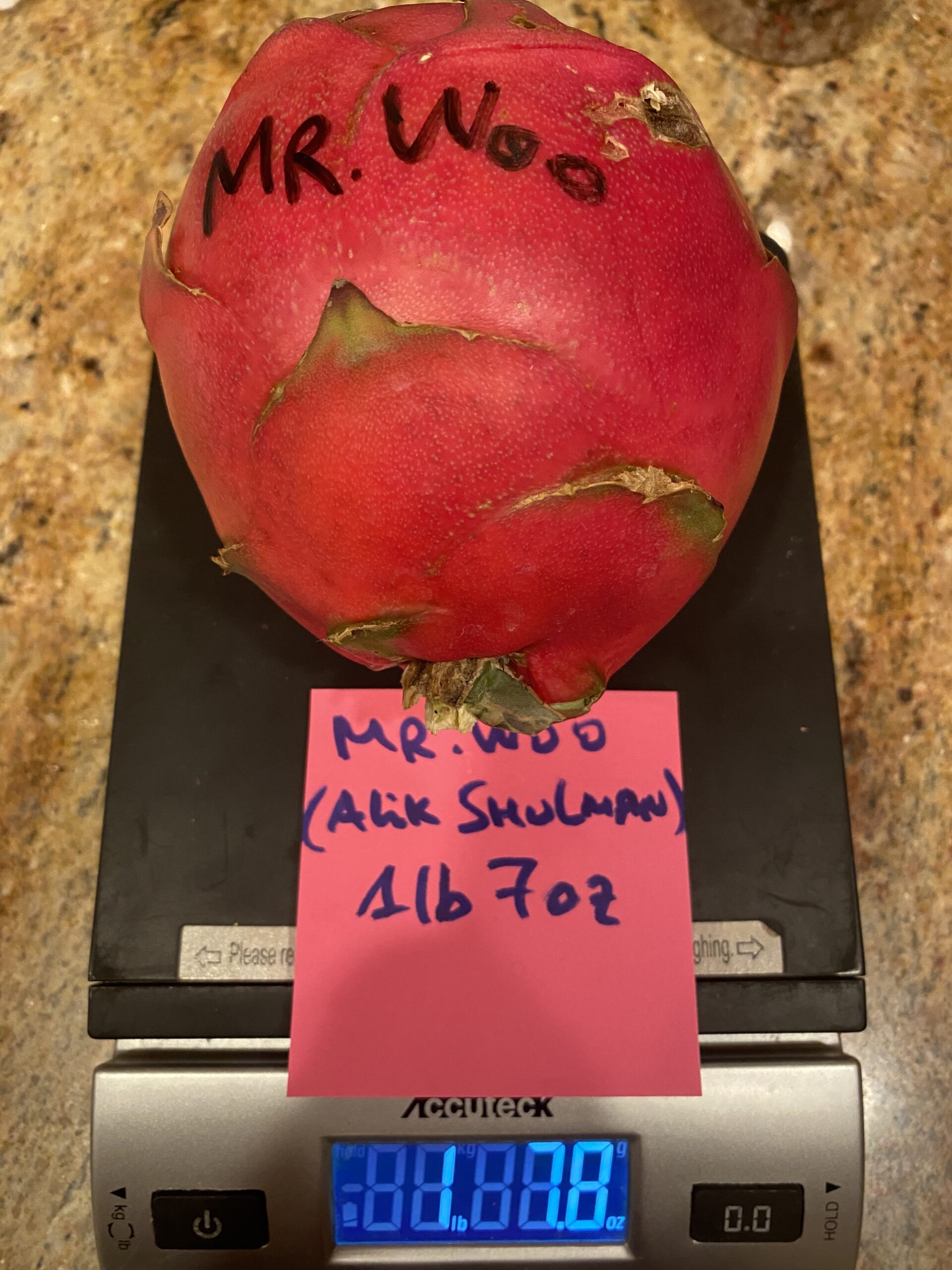 Mr. Woo — dragon fruit cutting from Shulman Dragon Fruit Orchard, photo 2