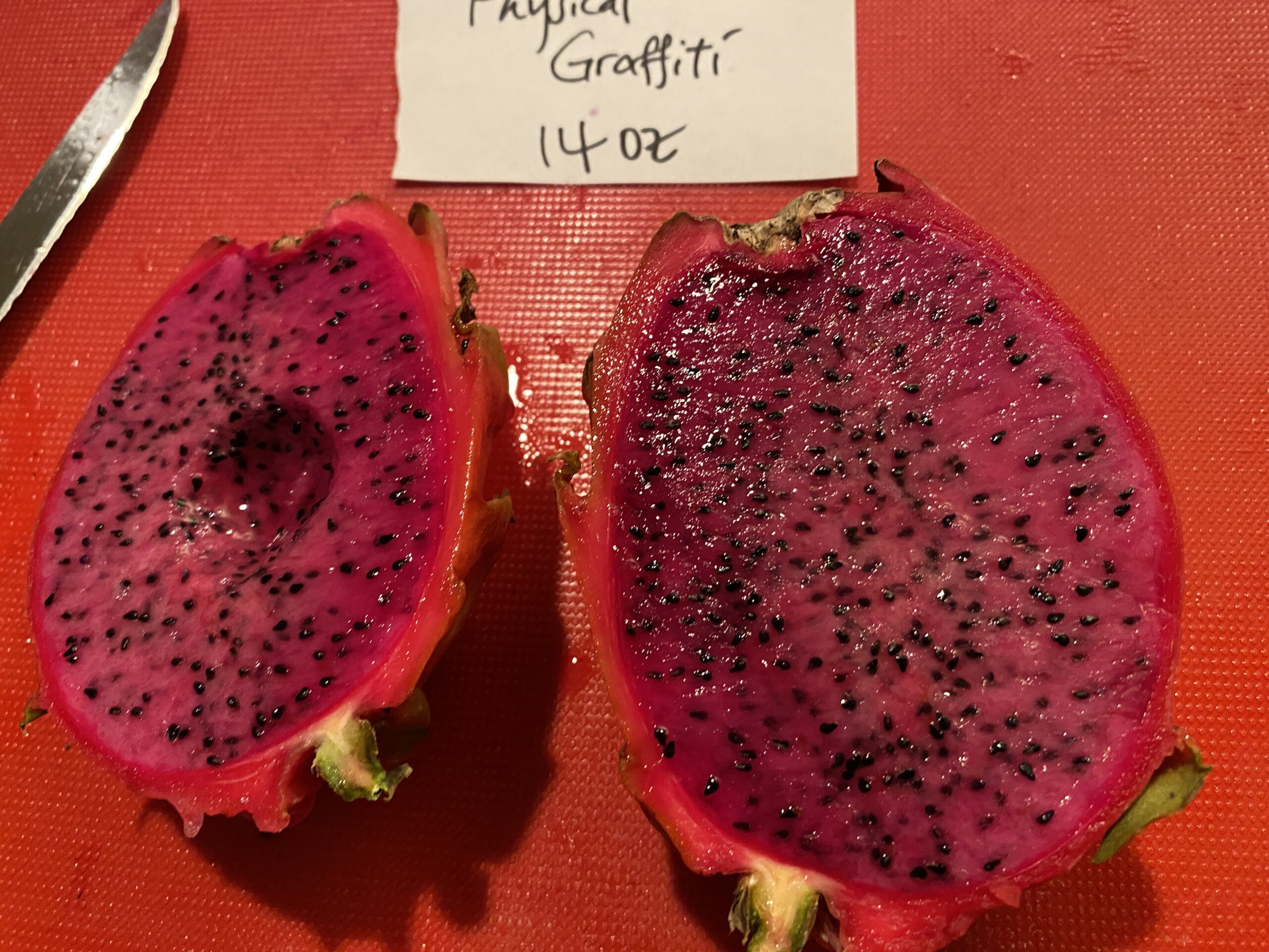 Physical Graffiti — dragon fruit cutting from Shulman Dragon Fruit Orchard, photo 2