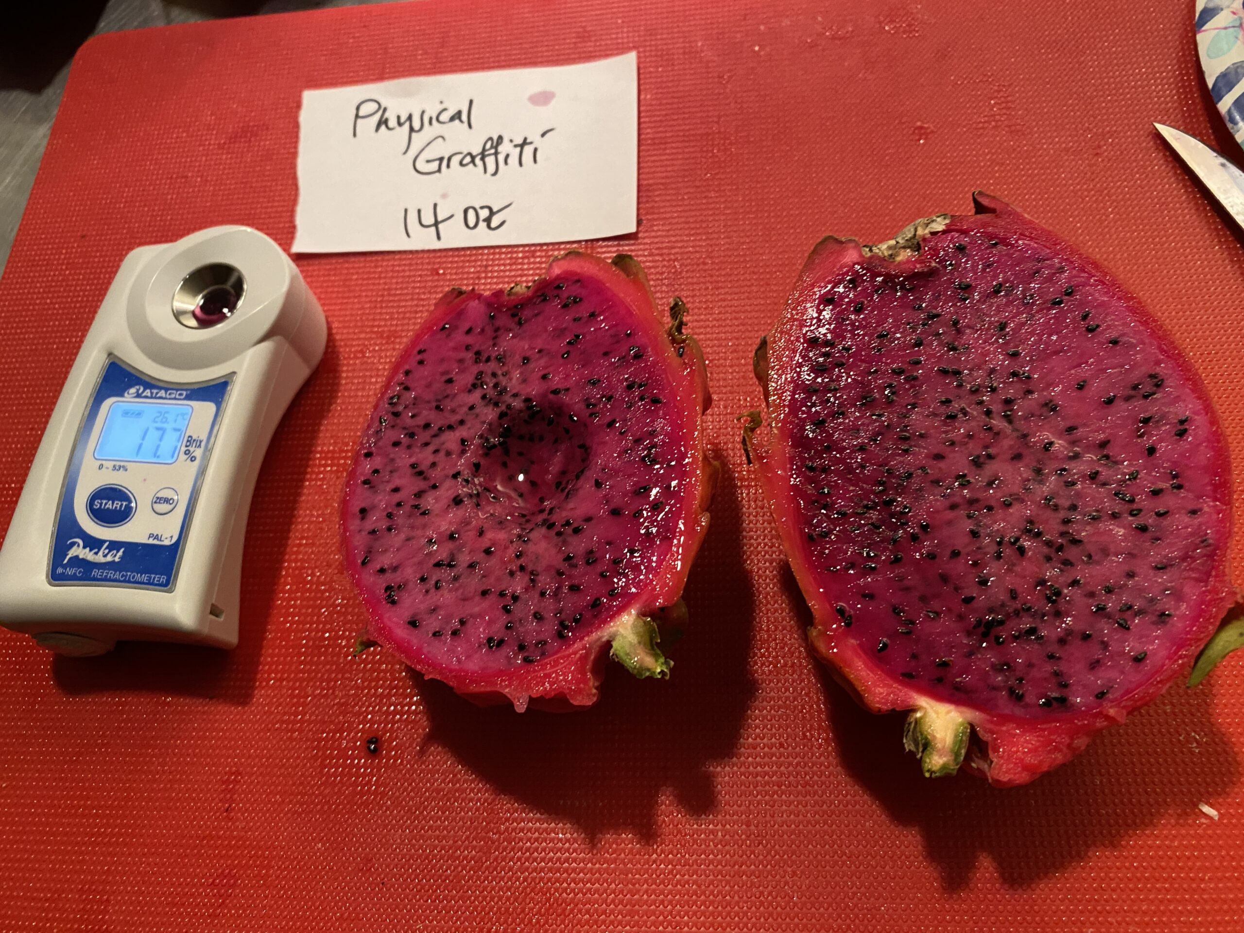 Physical Graffiti — dragon fruit cutting from Shulman Dragon Fruit Orchard, photo 3