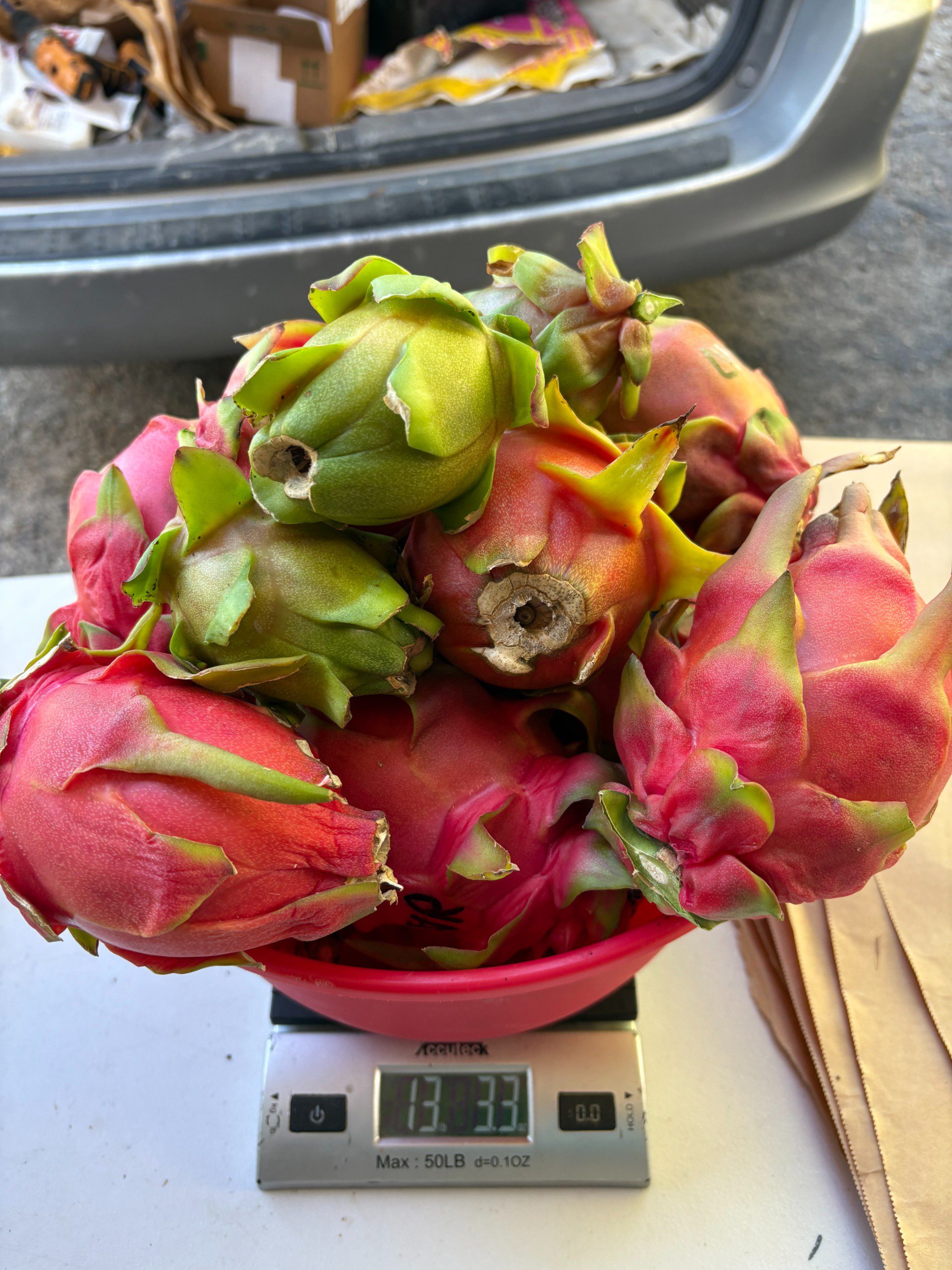 Dragon Fruit mixed varieties - Image 9