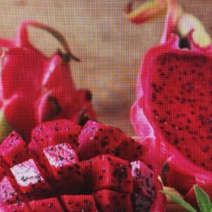 Vietnam Red — dragon fruit cutting from Shulman Dragon Fruit Orchard