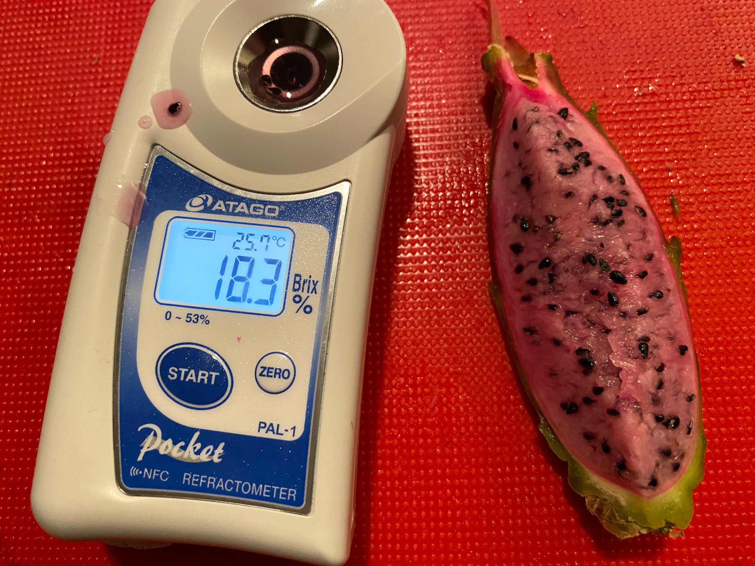 Voodoo Child — dragon fruit cutting from Shulman Dragon Fruit Orchard, photo 2