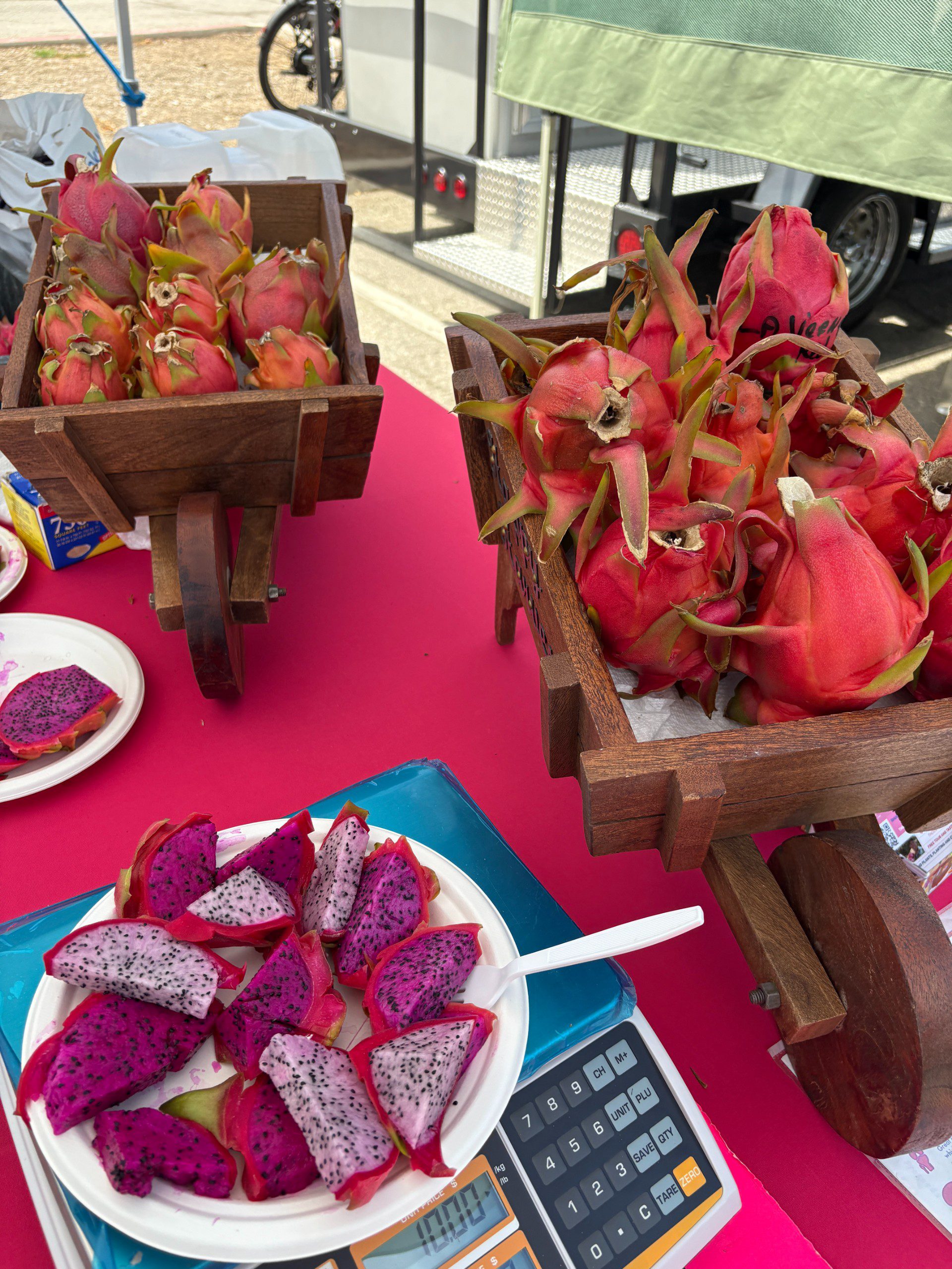 Dragon Fruit mixed varieties - Image 12