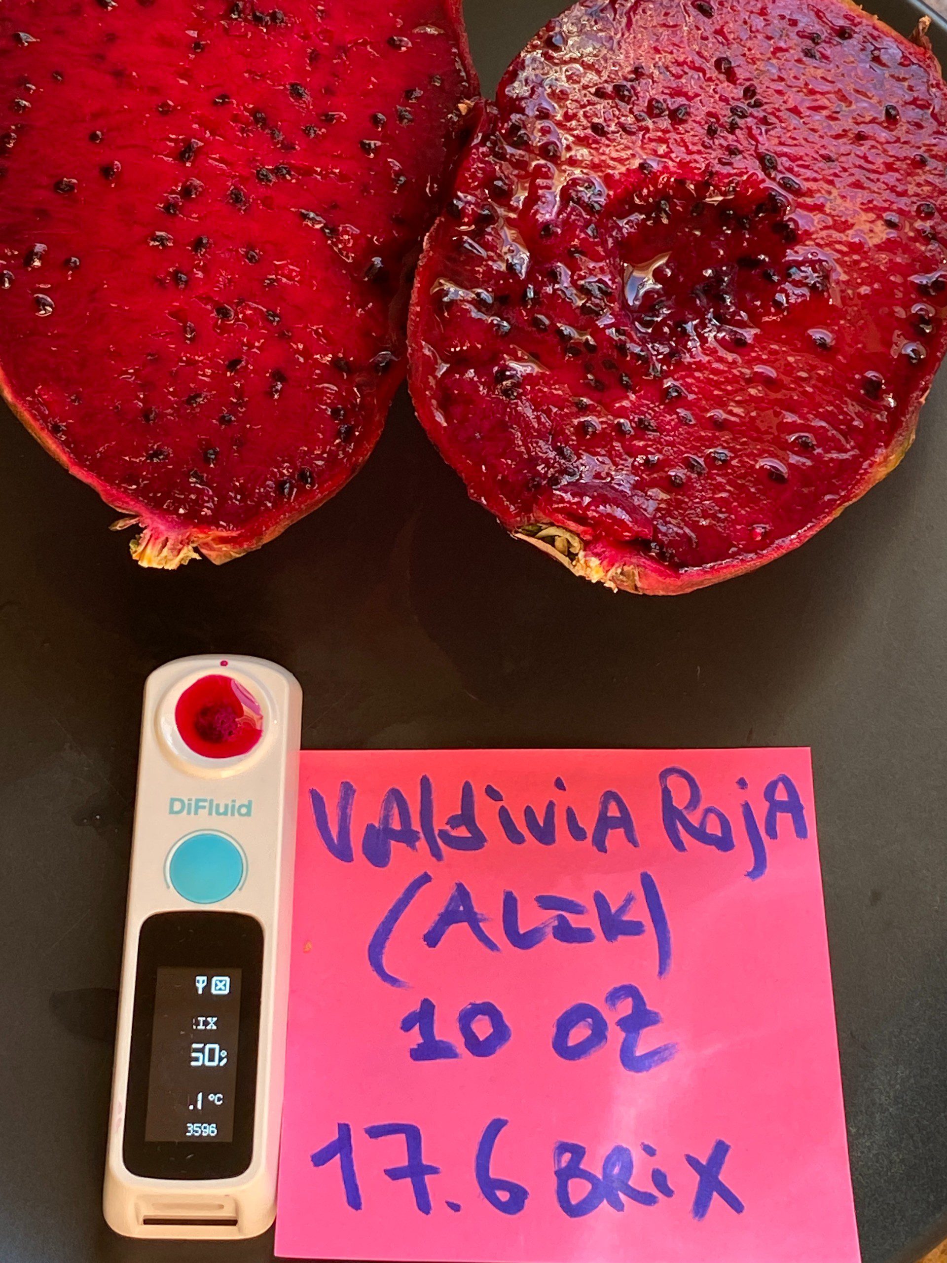 Valdivia Roja — dragon fruit cutting from Shulman Dragon Fruit Orchard, photo 5