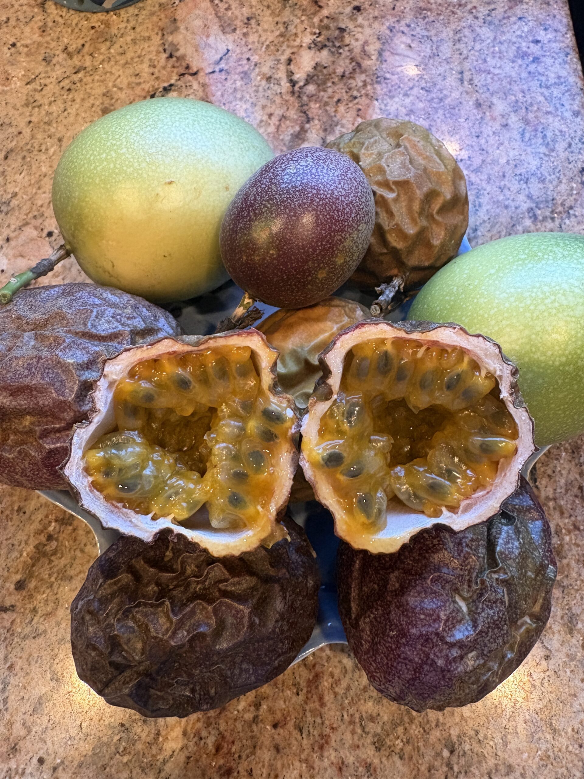 Passion Fruit plant - Image 5