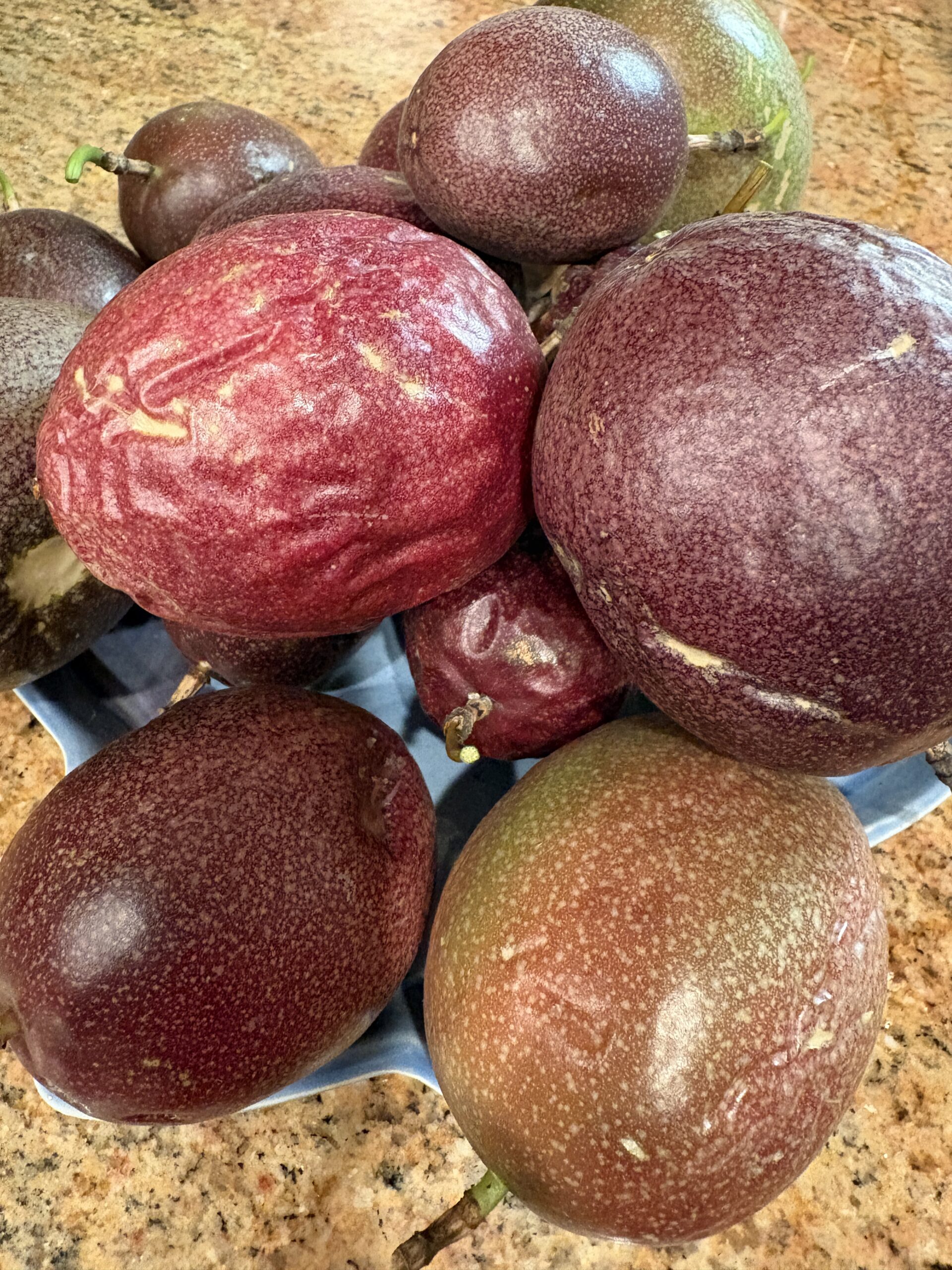 Passion Fruit plant - Image 8