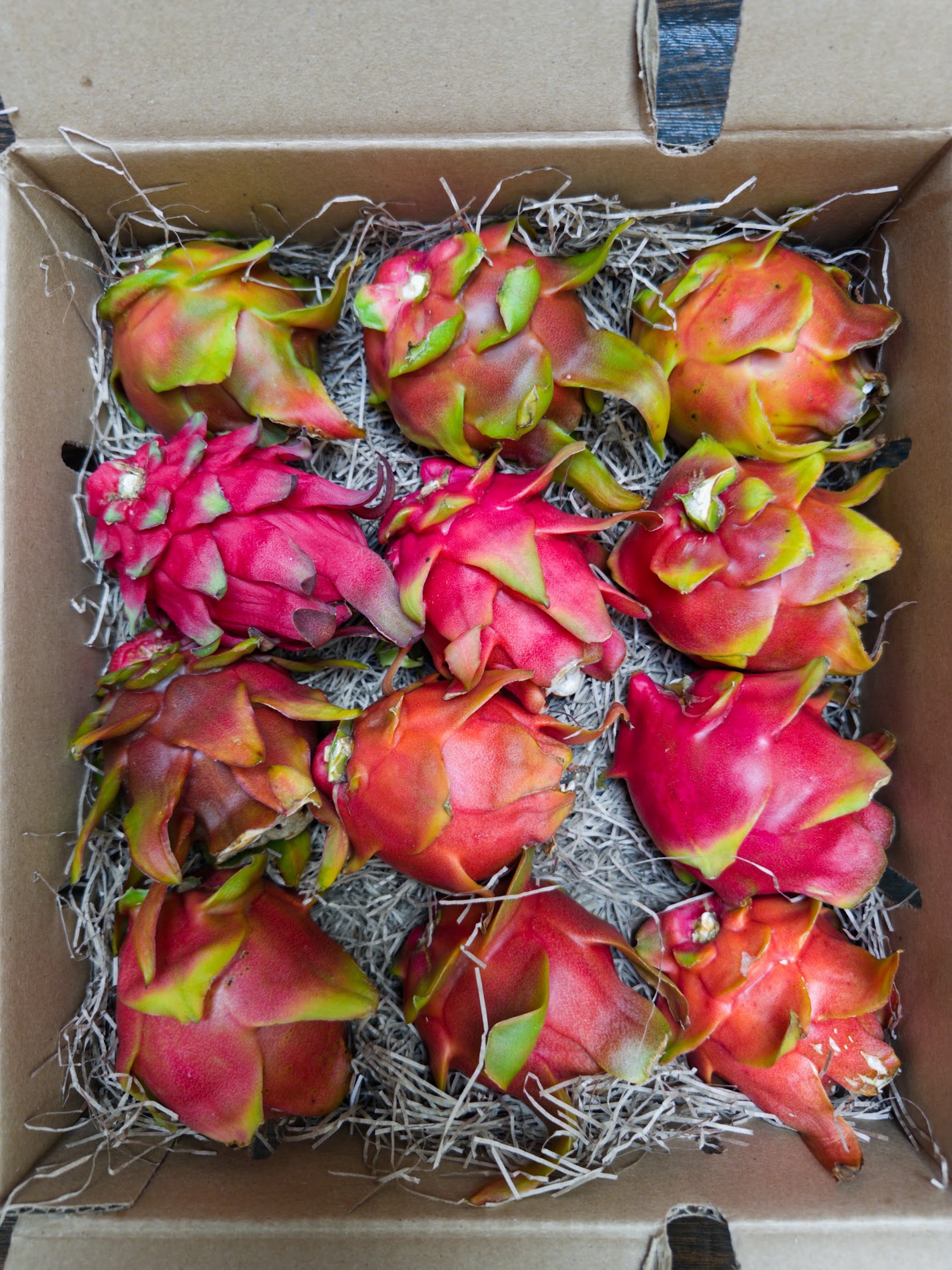 Box of fresh dragon fruit in mixed varieties