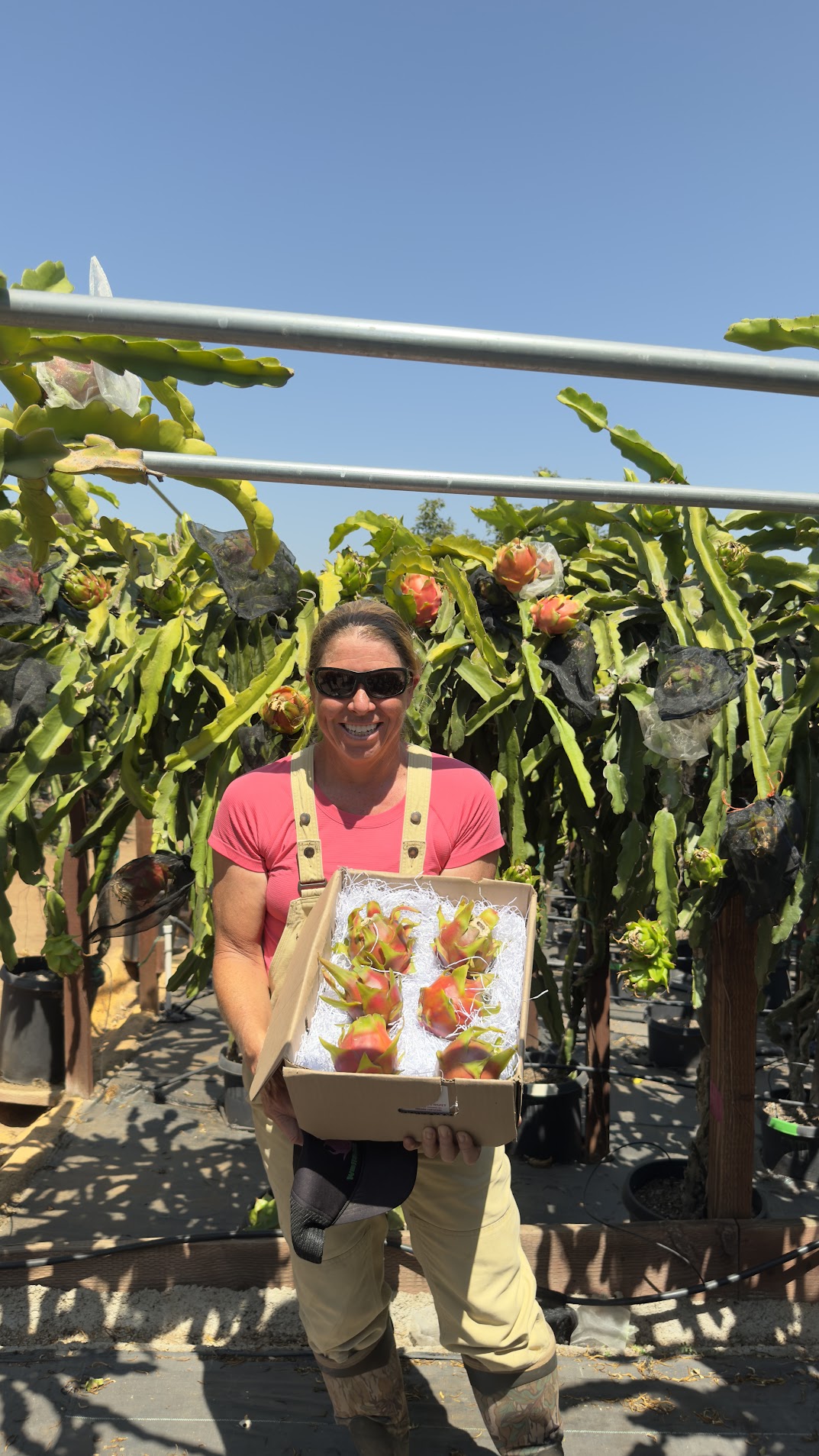 Wallace Ranch Dragon Fruit
